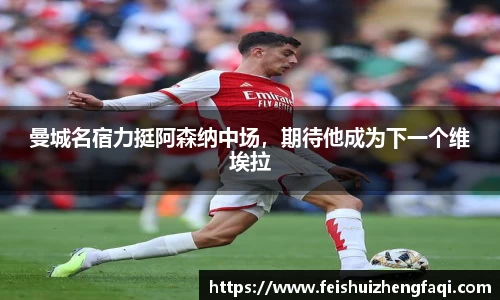 曼城名宿力挺阿森纳中场，期待他成为下一个维埃拉